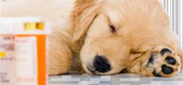 Data Matrix: il principio attivo per la corretta tracciabilità del farmaco - Datalogic